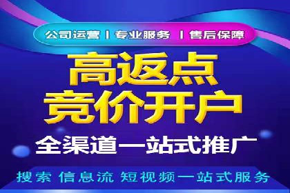 电商平台信息流广告的创意与执行案例分析